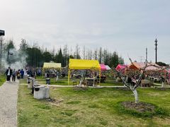 -乌村