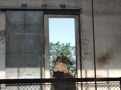 -石家庄市动物园