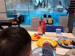 -帝企鹅自助餐厅•儿童岛•真企鹅(长隆企鹅酒店)