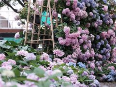 -常州古运河南大街文化旅游区-人民公园