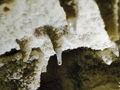 iphone_upload_pic-怀托摩萤火虫洞