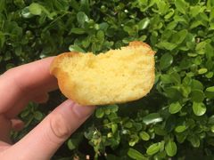 -味多美蛋糕(三元桥店)