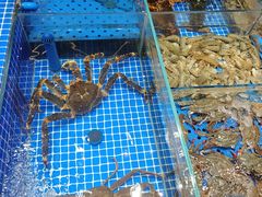 -大连湾旭日·家宴·海肠捞饭(马栏广场店)