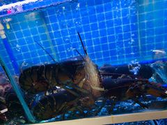 -海鲜皇宫(景泰翰林店)