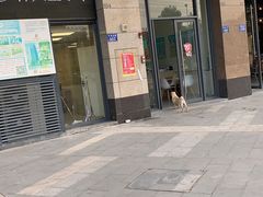 -爱诺耐芙动物医院(万博店)