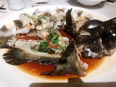 石斑鱼-衡山汇·高级粤菜(霄云路店)
