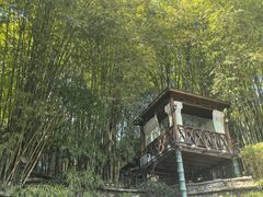 -竹海听涛生态山庄