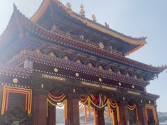 -塔尔寺-菩提树