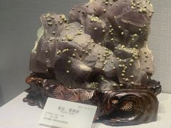 -湖南省地质博物馆