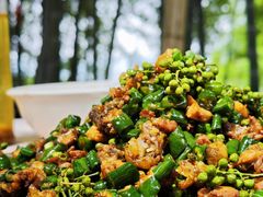 -铁山坪森林公园