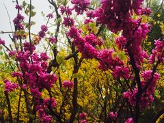 -齐汇维景大酒店游泳馆(山东政协大厦齐汇维景)