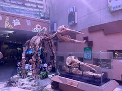 -陕西自然博物馆