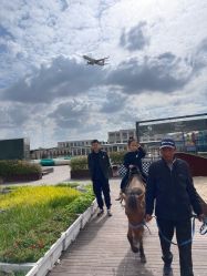 -小蜜蜂农场(凯德七宝购物广场店)