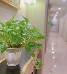 点击看大图 -颐休月子会所(杭州旗舰店)