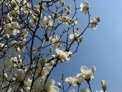 -兴业银行(北京经济技术开发区支行)