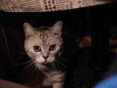 -隅cafe(傅厚岗店)