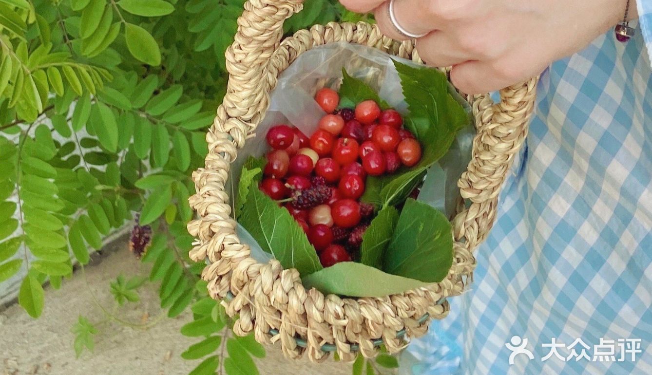 大连郊游 | 能见山 能见海 也能见你的地方