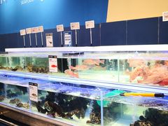 -盒马X会员店(上海森兰商都店)