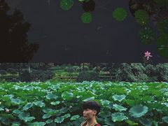 -龙头寺公园
