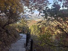 -北京十三陵国家森林公园蟒山景区