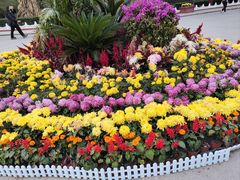 -森林公园(尖草坪区)