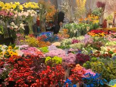-双季花艺园艺市场(浦东店)