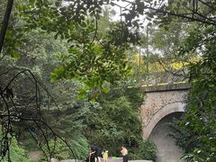 -杭州半山国家森林公园