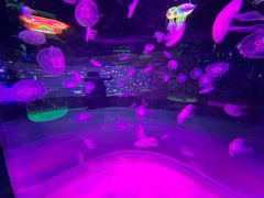 -石家庄极地海洋世界