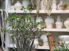 -自由生长植物工作室(深港花卉中心店)