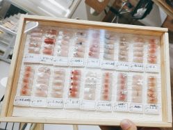 -四季·予你日式美甲美睫Nail