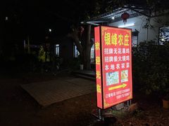 -银峰农庄·特色烧鸡·鲜无花果浸鸡