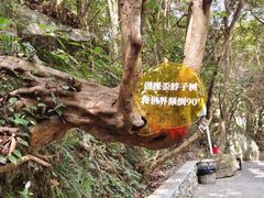 -石台牯牛降景区