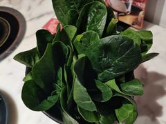 蔬菜拼盘-豆捞坊(金桥店)