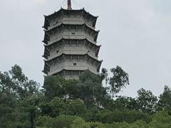 -深圳国际园林花卉博览园