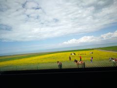 -青海湖国家重点风景名胜区