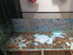 -小杨烤肉(朱雀店)