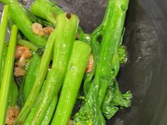 -侨美·唐荔园·40年地道粤菜