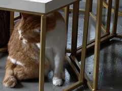 -弗劳尔花艺坊(龙涛店)