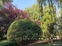 -百脉泉景区