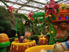 -南宫五洲植物乐园