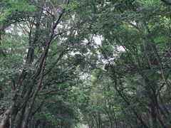 -福云龙(黄河南大街店)