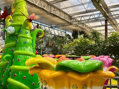 -南宫五洲植物乐园