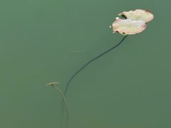 -颐和园