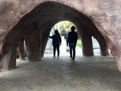 -上海都市菜园