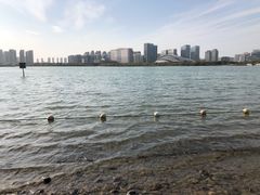 -天鹅湖体育公园