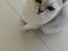 -怪兽屋·羊驼·猫咖·狗咖(俊华广场店)