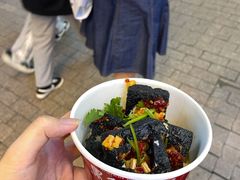 -黑色经典臭豆腐·湖南特产(坡子街店)