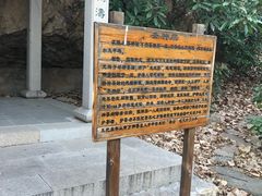 -石老人观光园