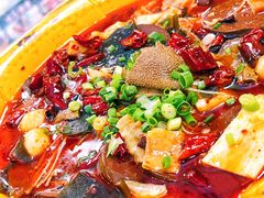 重庆毛血旺-鱼之家小四川水煮鱼