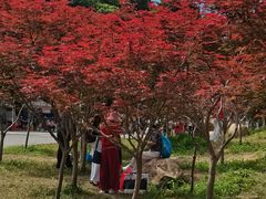 -广州市帽峰山景区